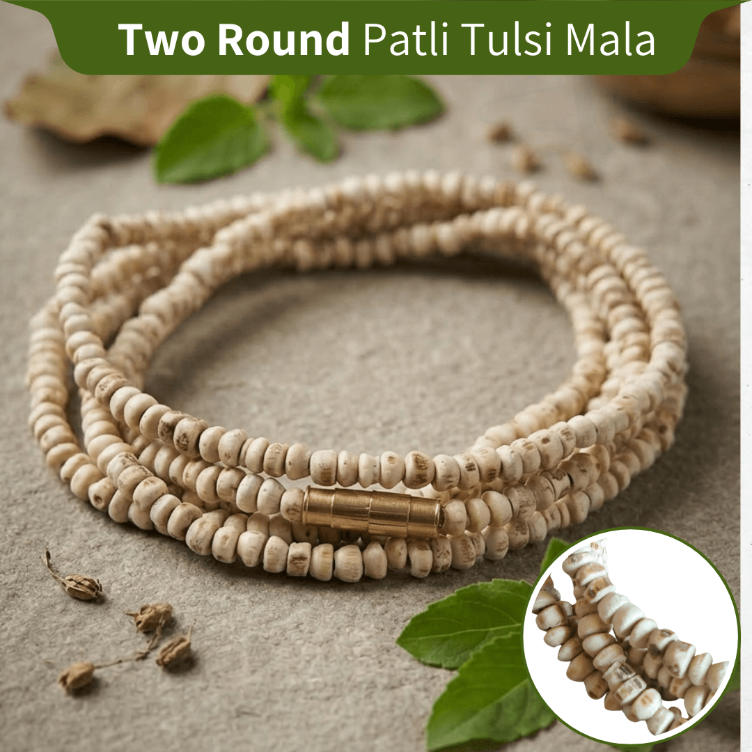 Two Round Patli Pure Tulsi Kanthi Mala
