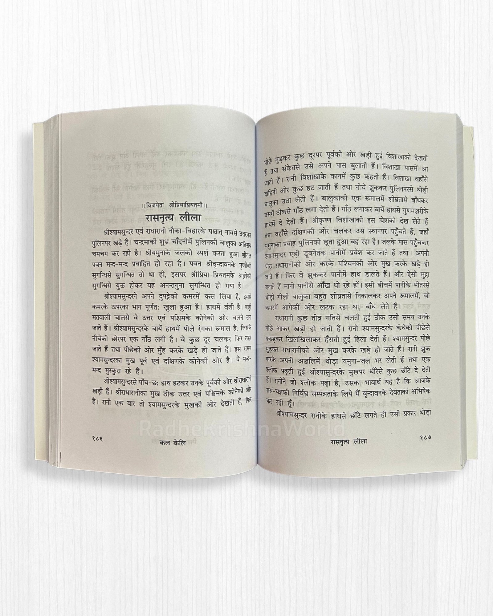 Kal Keli Book by Shree Radha Baba – 409 Pages | Sacred Radha Krishna Leela Granth | Radhe Krishna World - Image 2